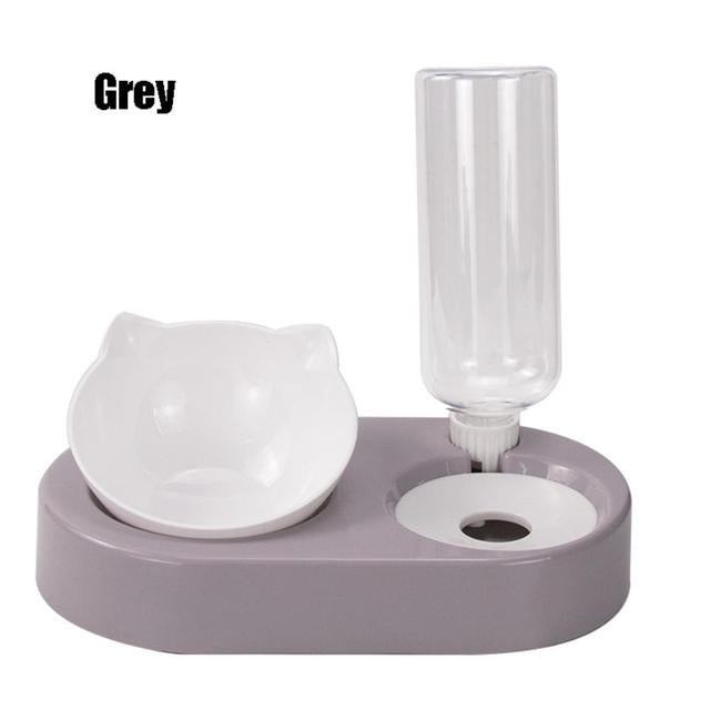 Pet Bowl Double Bowl Feeder With Auto Water Dispenser