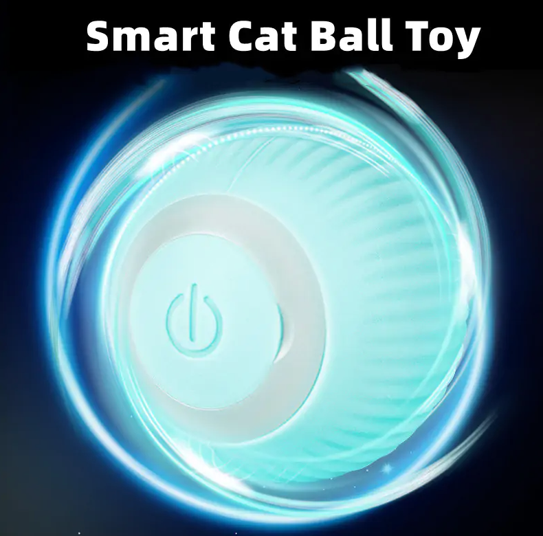 Electric Cat Ball