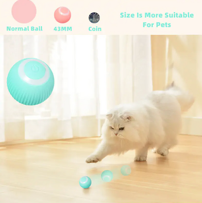 Electric Cat Ball